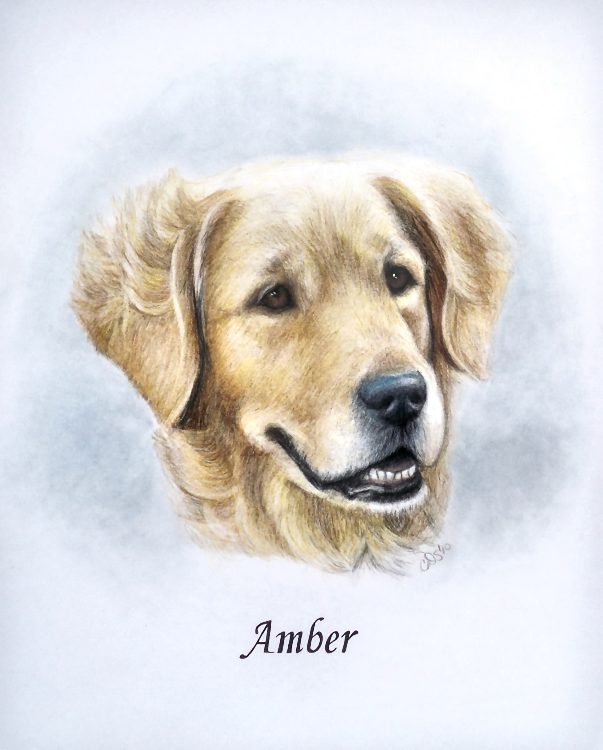amber_final_no_water.jpg