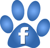 find us on Facebook